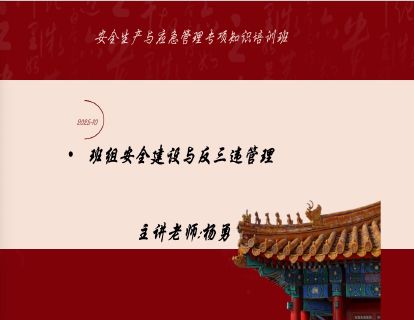 2025-10班组安全建设与反三违管理-杨勇