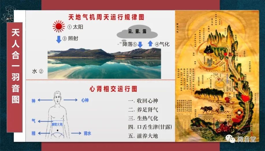 线上疗愈峰会-徴阳