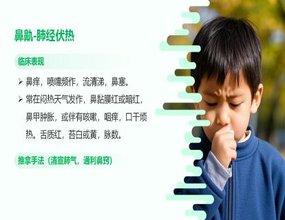 鼻鼽（过敏性鼻炎）：肺经伏热