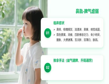 鼻鼽（过敏性鼻炎）：脾气虚弱