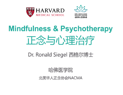 第八课 慈悲与自我关怀