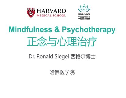 第一课 什么是心理治疗中的正念？
